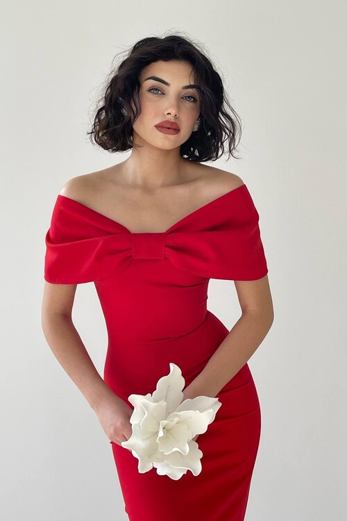 Bow Collar Midi Dress