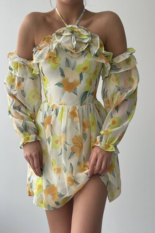 Joseph Colorful Rose Detailed Dress