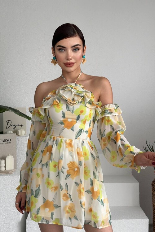 Joseph Colorful Rose Detailed Dress