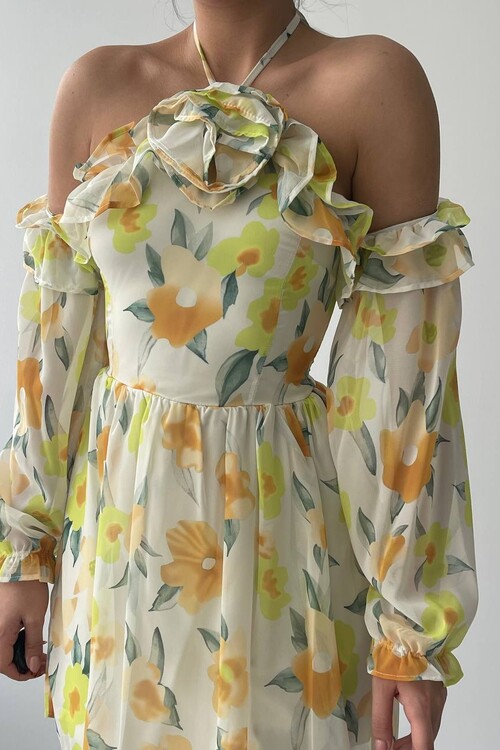 Joseph Colorful Rose Detailed Dress