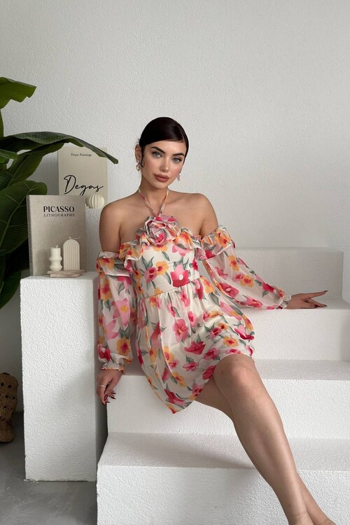 Joseph Colorful Rose Detailed Dress