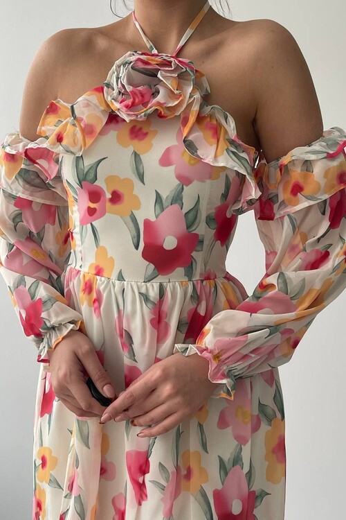 Joseph Colorful Rose Detailed Dress