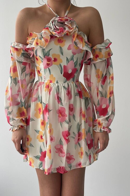 Joseph Colorful Rose Detailed Dress