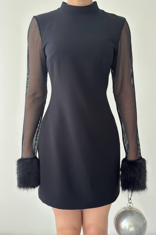 Dera Mesh Sleeve Dress