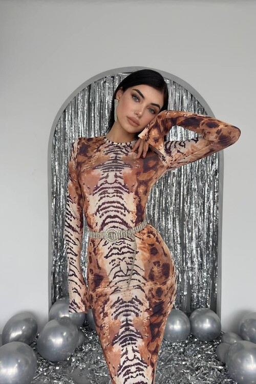 Vannes Desenli Elbise