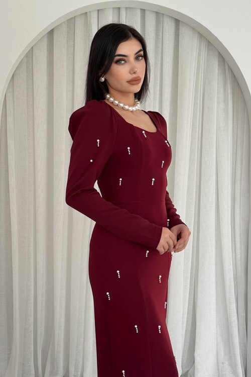 Akit İnci Detaylı Elbise