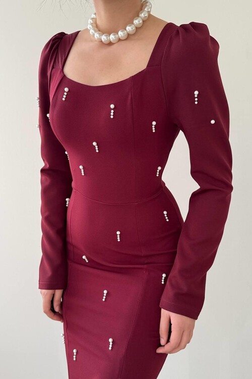 Akit İnci Detaylı Elbise