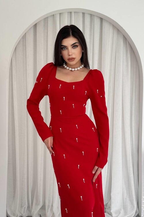 Akit İnci Detaylı Elbise