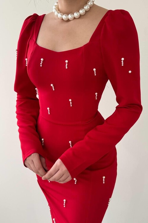 Akit İnci Detaylı Elbise