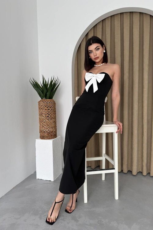 Harvoy Strapless Dress