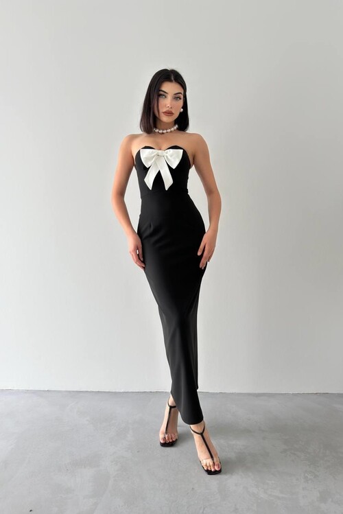 Harvoy Strapless Dress