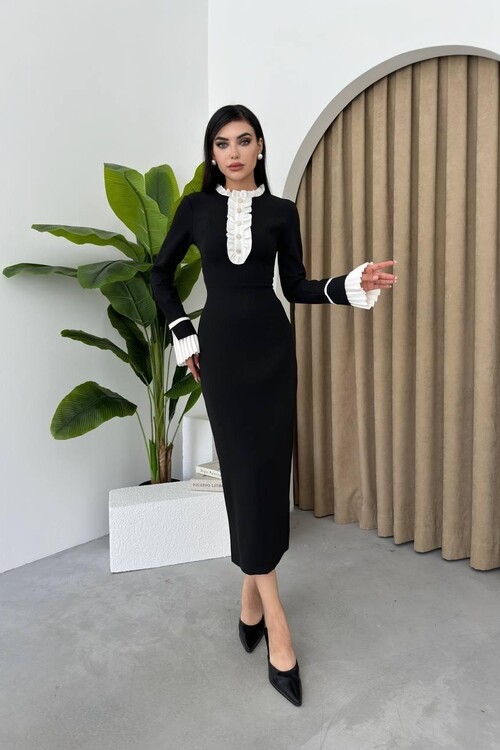 Ripon Uzun Kollu Elbise