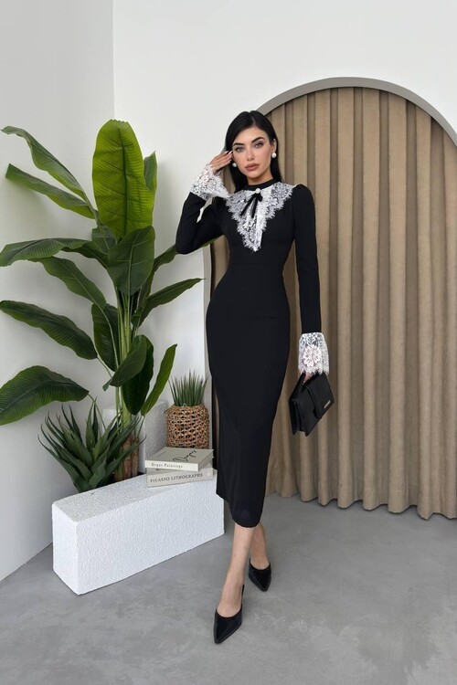 Royal Dantelli Elbise