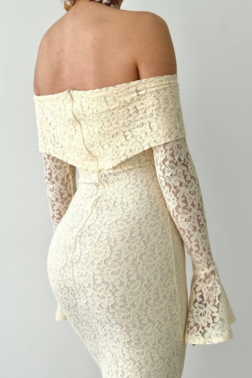 Arya Strapless Lace Dress