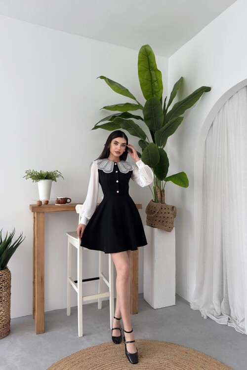 Asio Baby Collar Dress