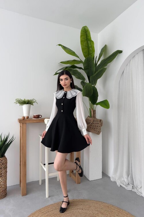 Asio Baby Collar Dress