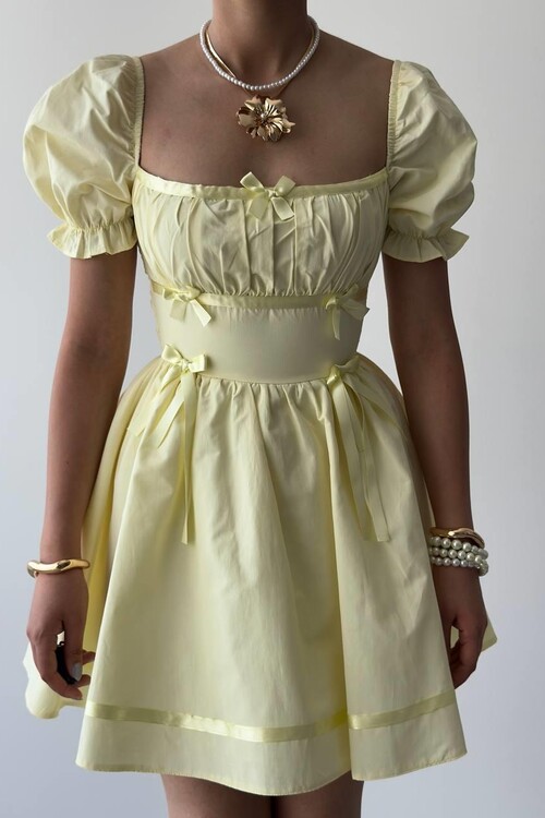 Boje Fiyonk Detaylı Elbise