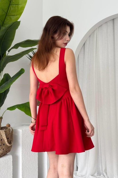 Dreas Fiyon Detaylı Elbise