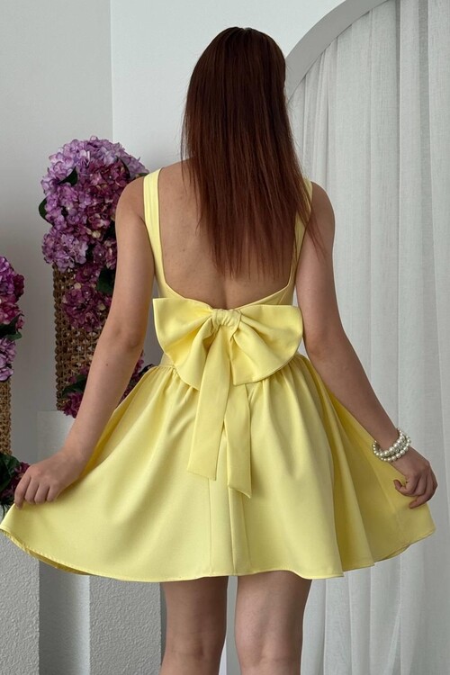 Dreas Fiyonk Detaylı Elbise