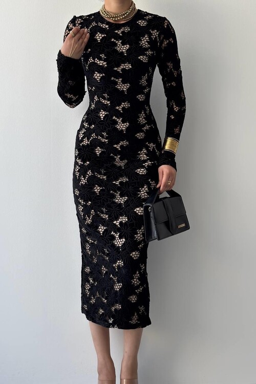 Hıon Güpür Elbise