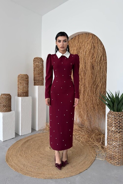 Noi İnci Detaylı Elbise