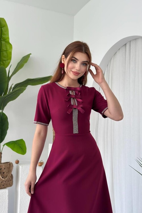 Wera Taşlı Fiyonk Detaylı Elbise