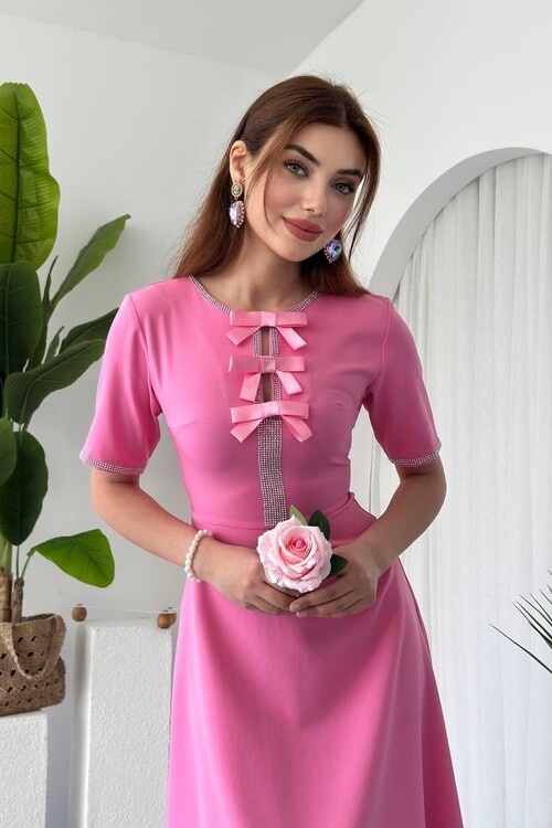 Wera Taşlı Fiyonk Detaylı Elbise