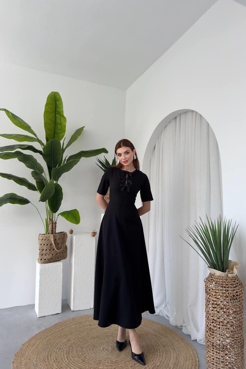 Wera Taşlı Fiyonk Detaylı Elbise