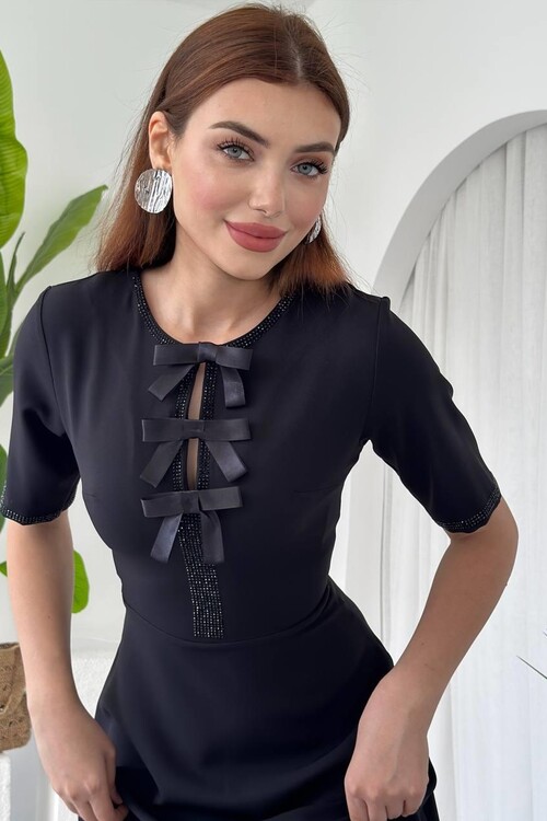 Wera Taşlı Fiyonk Detaylı Elbise