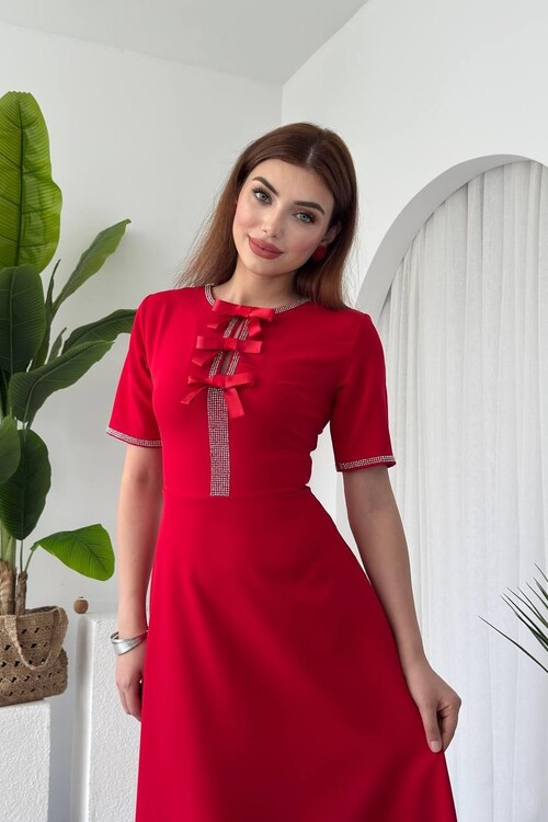 Wera Taşlı Fiyonk Detaylı Elbise