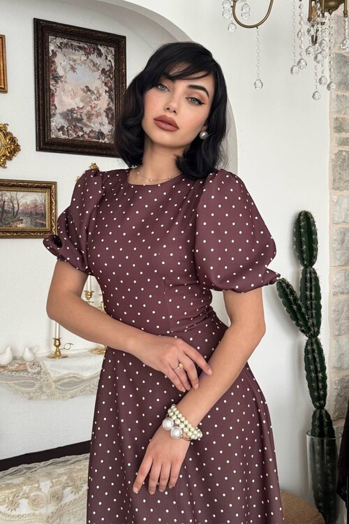 Agle Balloon Sleeve Dress