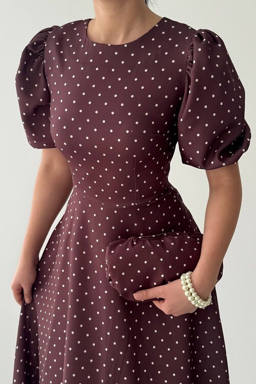 Agle Balloon Sleeve Dress