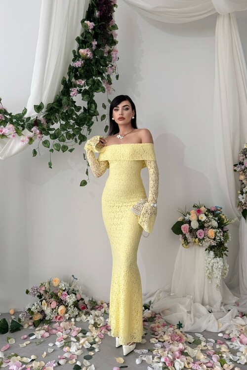 Arya Straplez Dantel Elbise