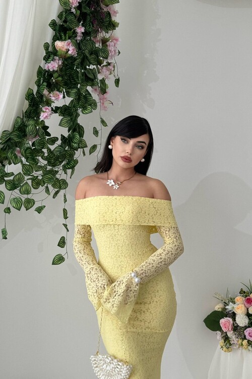 Arya Straplez Dantel Elbise