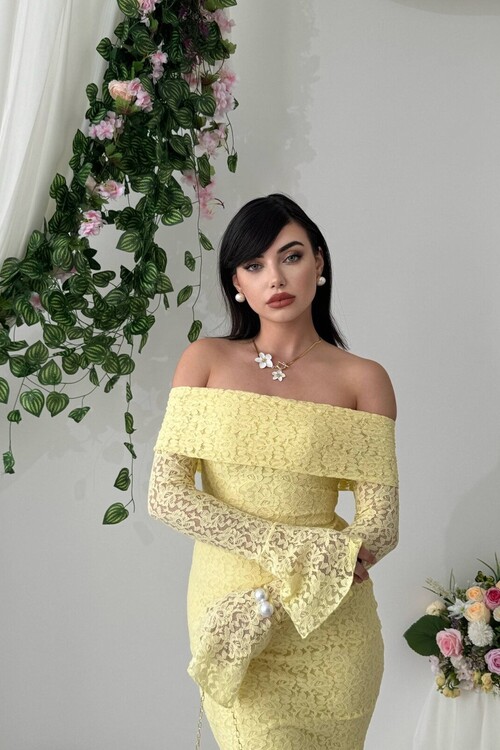 Arya Straplez Dantel Elbise