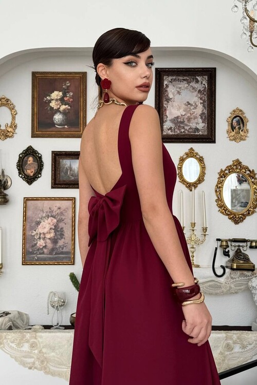 Dınas Fiyonk Detaylı Elbise