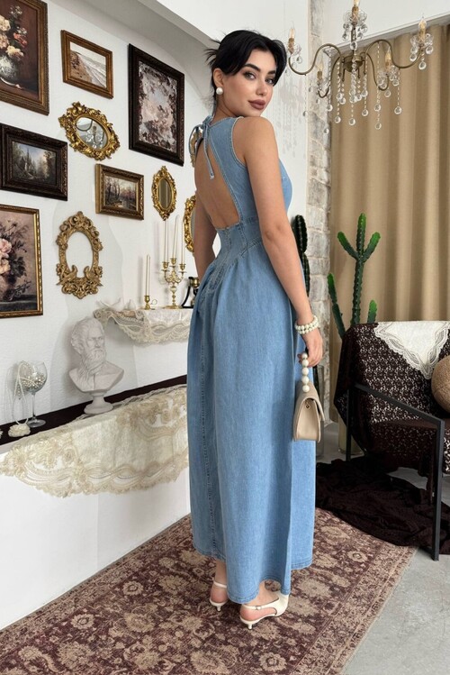 Jere Denim Dress with Backless Detail