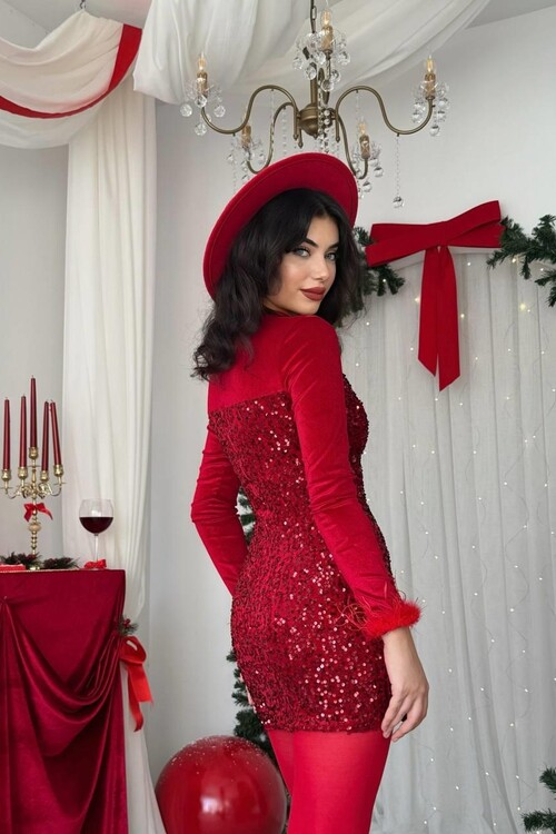 Tepu Tüy Detaylı Elbise