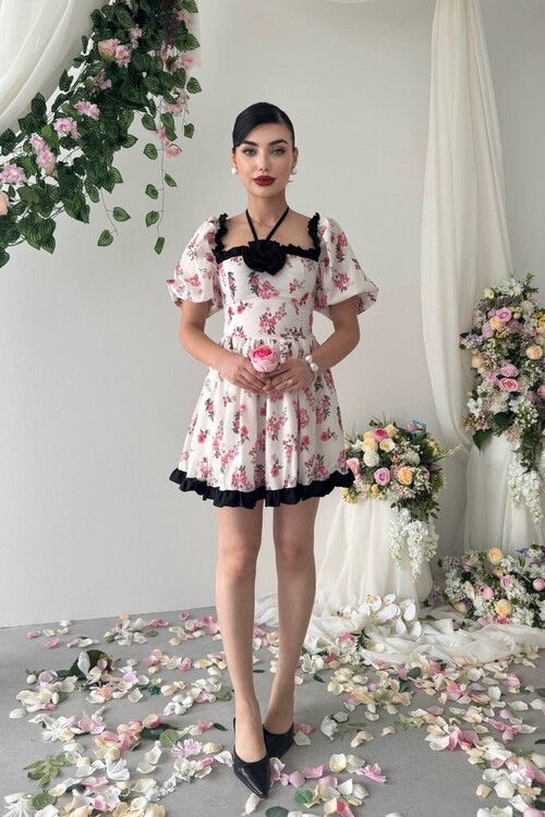 Wismar Gül Detay Elbise