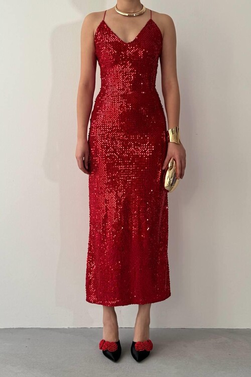 Zexa Sırt Detaylı Elbise