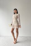 Famous Lace Mini Dress