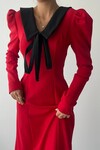 Chimay Collar Tied Dress