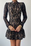 Famous Lace Mini Dress