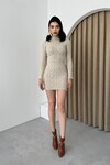 Livorna Turtleneck Mini Dress