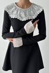 Nord Lace Collar Sleeve Dress