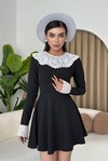 Nord Lace Collar Sleeve Dress