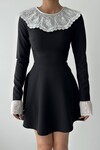 Nord Lace Collar Sleeve Dress