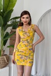 Lenisa Frilly Mini Dress