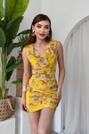 Lenisa Frilly Mini Dress
